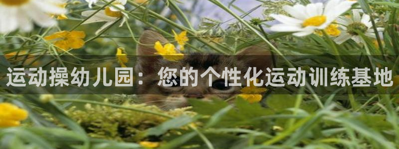 下载尊龙:运动操幼儿园:您的个性化运动训练基地
