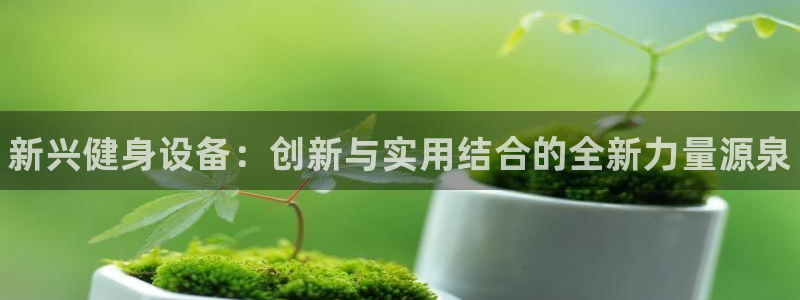 尊龙凯时v7要冲多少:新兴健身设备:创新与实用结合的全新力量