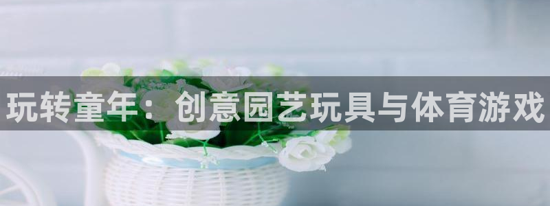 尊龙凯时注册:玩转童年:创意园艺玩具与体育游戏